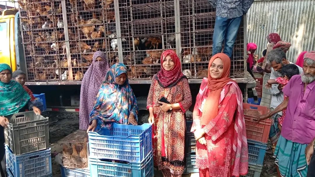 মানিকগঞ্জের দৌলতপুরে ক্ষুদ্র কৃষকদের মাঝে বিনামূল্যে মুরগী বিতরণ